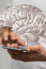 brain