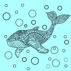 Whale, Vector zentangle print, adult coloring page. Hand drawn artistically, ornamental patterned Whale illustration. Sea Animal collection, t-shirt design.