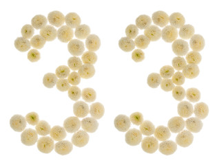 Arabic numeral 33, thirty three, from cream flowers of chrysanthemum, isolated on white background