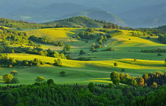 Spring forest and meadows landscape in Slovakia. Morning scenery near village Poniky. Fresh trees and pastures. Sunlit country. © matkovci