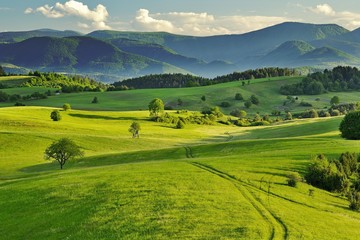Frühlingswald und Wiesenlandschaft in der Slowakei. Morgenlandschaft in der Nähe des Dorfes Poniky. Frische Bäume und Weiden. Sonnendurchflutetes Land.
