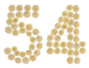 Arabic numeral 54, fifty four, from cream flowers of chrysanthemum, isolated on white background