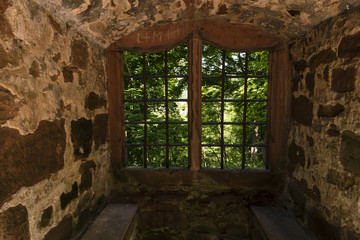 Ruine Schönrain im Spessart