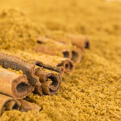 Cinnamon sticks with powder in a square crop