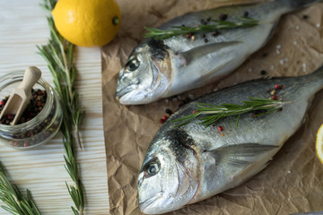 Raw fish cooking and ingredients. Dorado, lemon, herbs and spices.