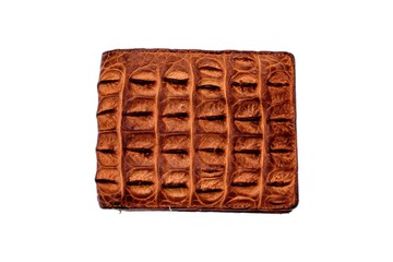 Purse of crocodile leather brown money money dolar currency on isolated on white background