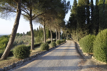 Straße in der Toskana