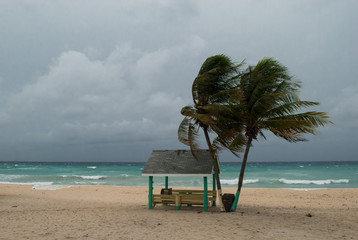 A hurricane is about to batter this caribbean beach hut. The seas are raging and the skies show the...