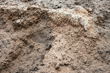 Dry uneven surface of ground