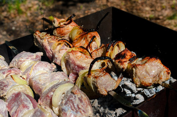 Cooking barbecue in nature.