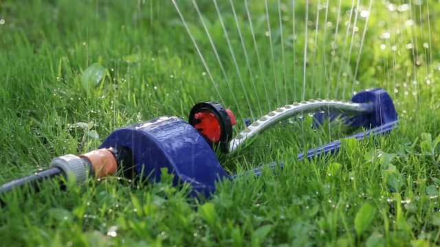 Lawn sprinkler system on garden in grass. Sprinkle sprays water on the green grass in the garden on a background of trees when the sun shines