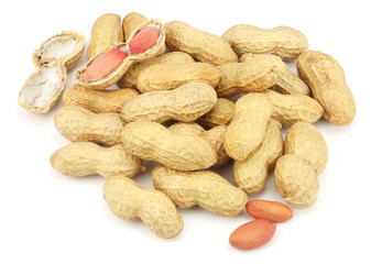 peanuts isolated on the white background