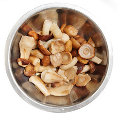 Mushrooms in stainless steel pot