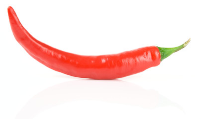 Hot chili pepper on white surface