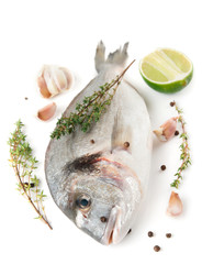 Gilt-head bream with herbs and spices