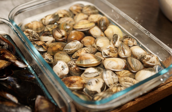 Live clams in water, close-up