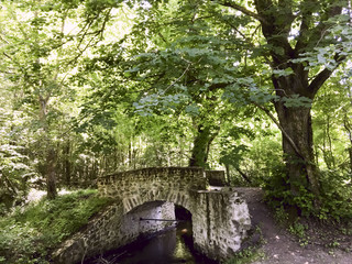 Petit pont en arche dans les bois