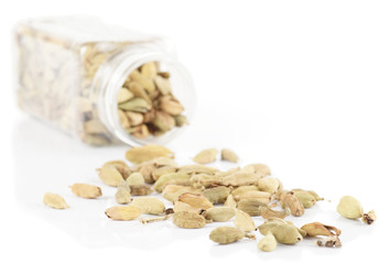 Cardamom spilled from plastic container, isolated