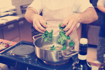 Chef is putting spinach in casserole, toned