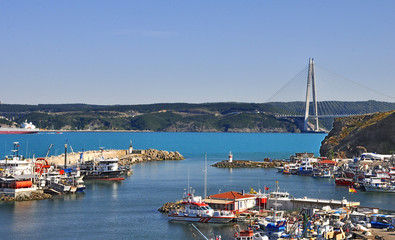 Turquoise colored Bosphorus.  Turquoise color in Bosphorus is unusual. Plankton explosion’ turns Istanbul’s Bosphorus turquoise.