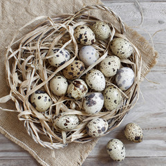 Obraz premium Quail eggs in a basket