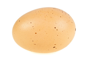 Single brown chicken egg isolated on white background
