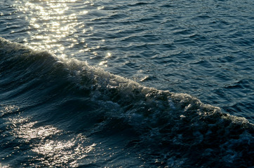 Sunlit seascape with waves