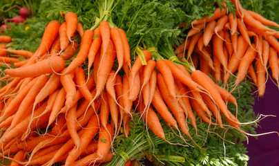 bunches of Carrots