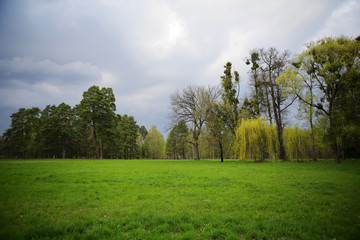 Fototapeta na wymiar Beautiful green landscape, natural background