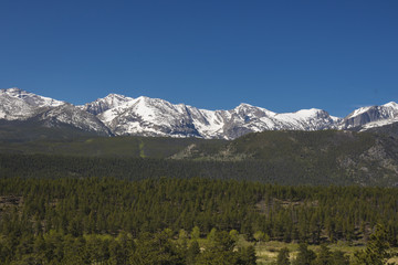 Mountains and forest of Rocky Mountain National Park