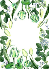 Watercolor hand drawn white and green tulips, freesia, eucalyptus, lilly leaves and cyclamen bouquet. Decorative floral composition for wedding design. Painted by wtercolor floral frame.