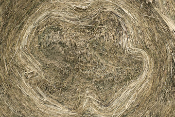 Closeup of golden hay roll circular haystack showing straw texture