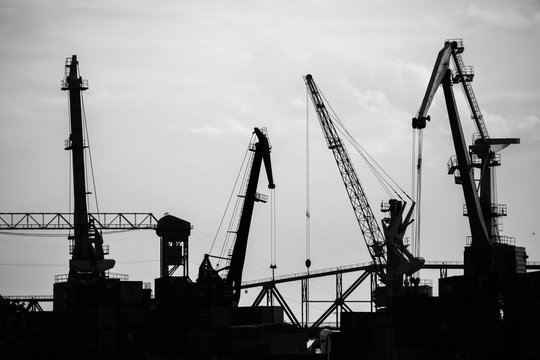 Cargo ship-lifting cranes on the river in the port black-and-white photo 