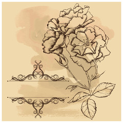 Old background with frame and flowers