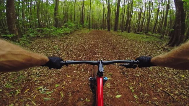 POV Mountain Biking