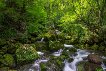 River in the mountains of Bulgaria