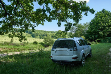 SUV in the forest