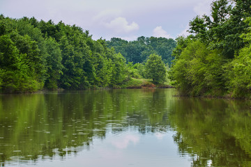 Fototapeta na wymiar Landscape of a lake with forest