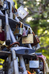 locks of love