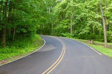 Fototapeta premium In the middle of a road that curves up the hill.