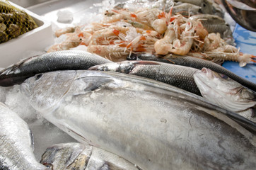 Fresh seafood on ice at the fish market
