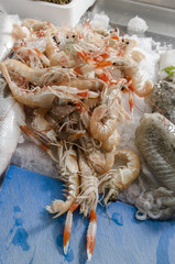 Fresh seafood on ice at the fish market