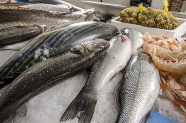 Fresh seafood on ice at the fish market