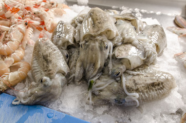 Cuttlefish on ice at the fish market.