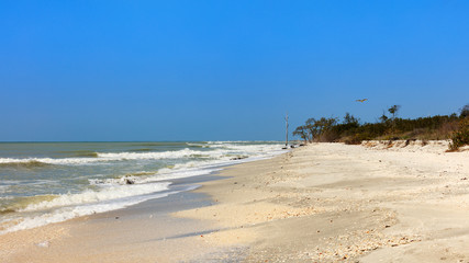 Typical coast of Sanibel Island, Florida, USA
