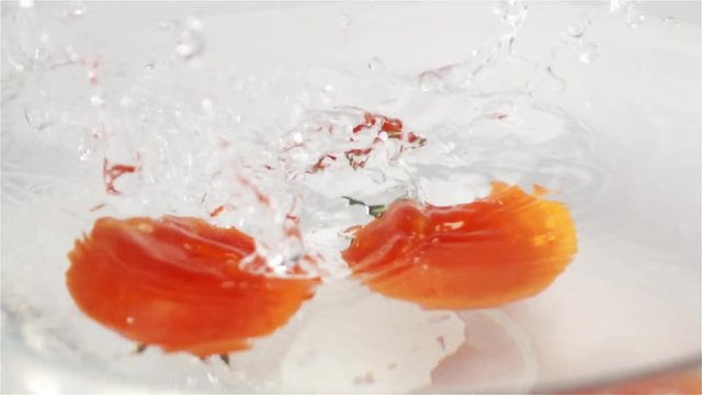 Fresh tasty Red Tomatoes, solanum lycopersicum, Fruits falling into Water against White Background, Slow Motion splash and spray