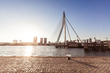 Wharf of Rotterdam