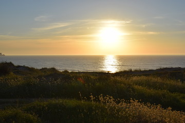 atardecer