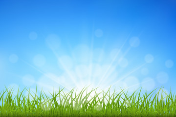 Fototapeta na wymiar Green grass against blue sky sunbeams and bokeh background, vector illustration.