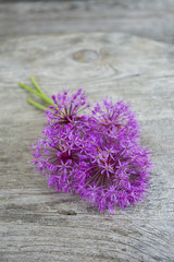 alium flower on wooden surface